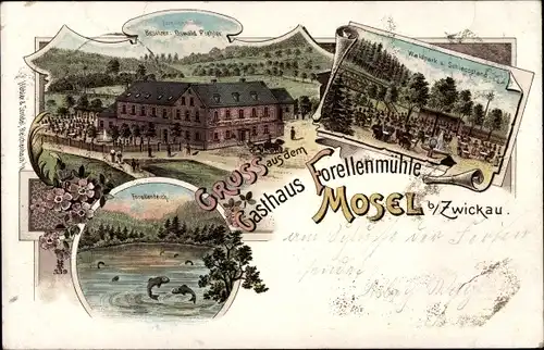 Litho Mosel Zwickau in Sachsen, Forellenmühle, Bes. Eduard Starke, Waldpark, Forellenteich