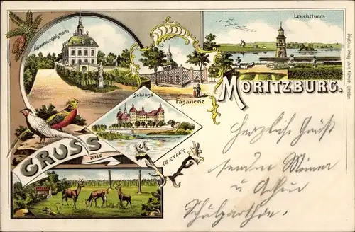 Litho Moritzburg in Sachsen, Jagdschloss, Leuchtturm, Fasanerie, Rehe, 66 Ender