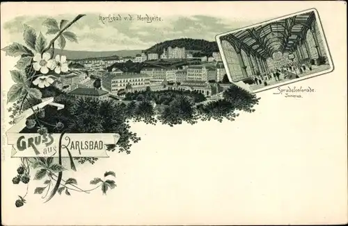 Litho Karlovy Vary Karlsbad Stadt, Inneres der Sprudelkolonade