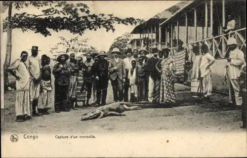 Ak Congo Belge DR Kongo Zaire, Capture d'un crocodile