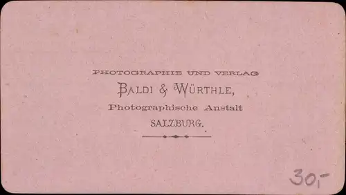 CdV Lend in Salzburg, Blick auf den Ort