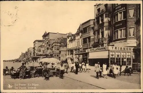 Ak La Panne De Panne Westflandern, La Digue, Hotel Trianon