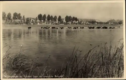 Ak Eysden Eijsden Margraten Limburg Niederlande, Maasgezicht