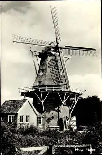 Ak Norg Drenthe Niederlande, Molen, Windmühle