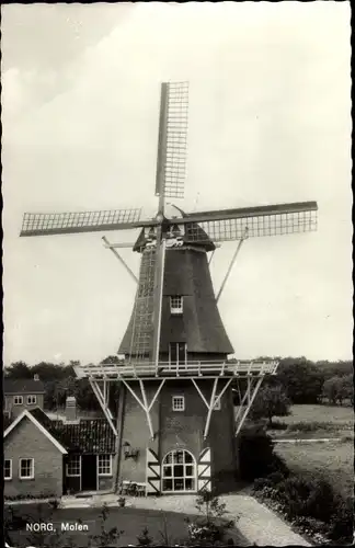 Ak Norg Drenthe Niederlande, Molen, Windmühle