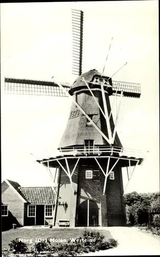 Ak Norg Drenthe Niederlande, Molen Westeind