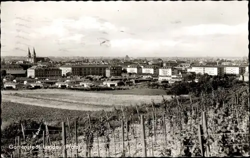 Ak Landau in der Pfalz, Panorama