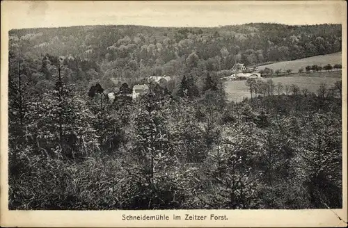 Ak Zeitz im Burgenlandkreis, Schneidemühle im Zeitzer Forst