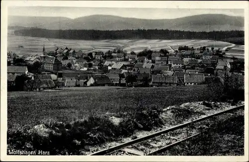 Ak Wolfshagen Langelsheim am Harz, Panorama