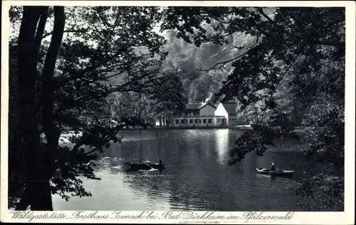 Ak Bad Dürkheim am Pfälzerwald, Waldgaststätte Forsthaus Isenach, Weiher, Ruderboote