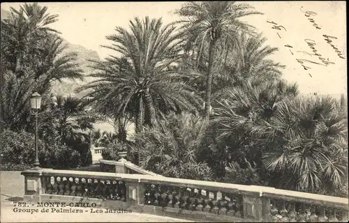 Ak Monte Carlo Monaco, Les Jardins, Groupe de Palmiers