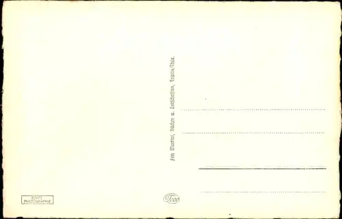 Ak Triptis in Thüringen, Markt, Rathaus