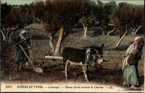 Ak Scenes et Types, Labourage, Femme Arabe trainant la Charrue