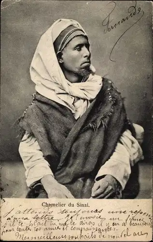 Ak Chamelier du Sinai, Syrer, Portrait