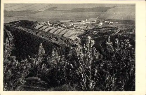 Ak Kvutzah Ginegar Israel, Panorama