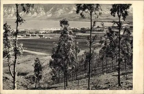 Ak Kibbutz Kinereth Israel, Panorama