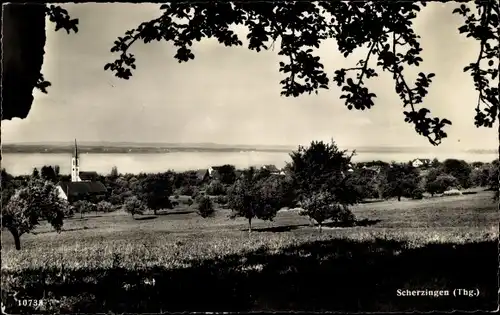 Ak Scherzingen Münsterlingen Kanton Thurgau, Teilansicht