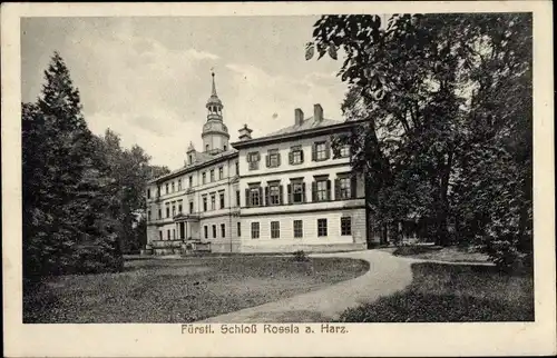 Ak Roßla am Harz, Fürstliches Schloss