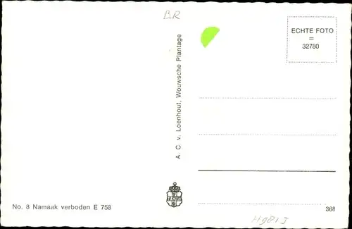 Ak Wouwse Plantage Nordbrabant, Villa