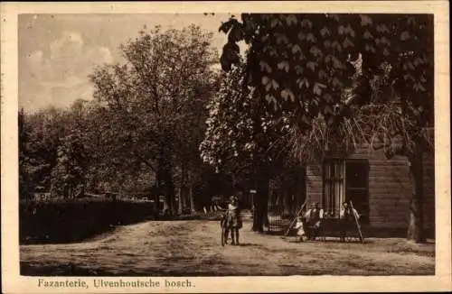 Ak Ulvenhout Nordbrabant Niederlande, Ulvenhoutsche Bosch, Fazanterie