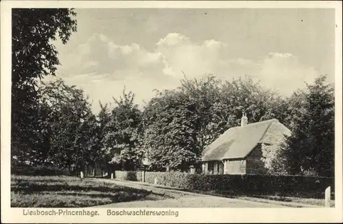 Ak Liesbosch Princenhage Breda Nordbrabant, Boschwachterswoning