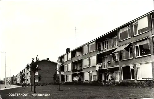Ak Oosterhout Nordbrabant Niederlande, Hertogenlaan