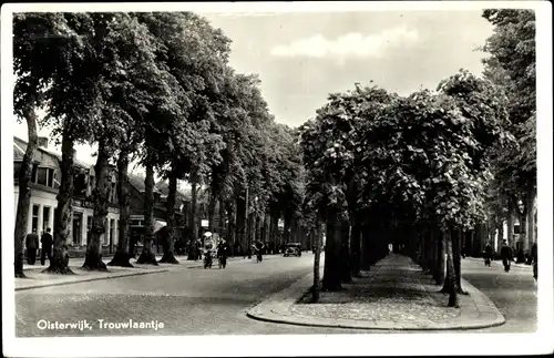 Ak Oisterwijk Nordbrabant Niederlande, Trouwlaantje