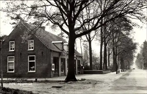 Ak De Rips Nordbrabant, Ripsestraat