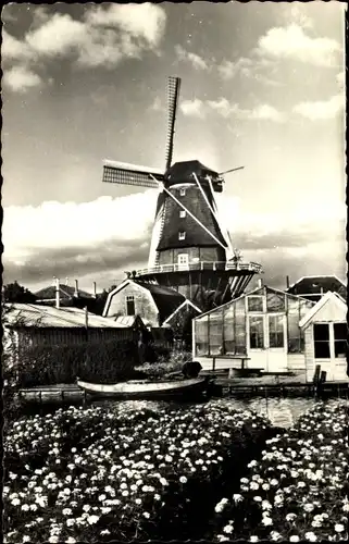 Ak Aalsmeer Nordholland Niederlande, Windkorenmolen De Leeuw