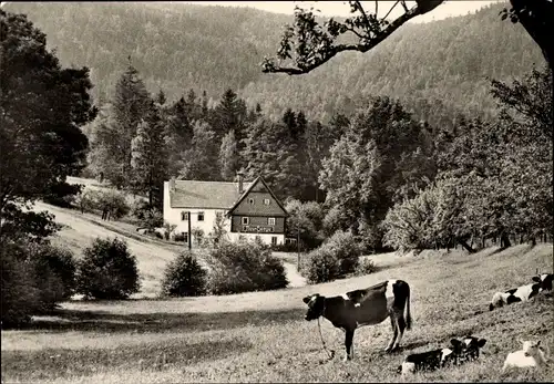 Ak Waltersdorf Großschönau in der Oberlausitz, Zittauer Gebirge, Gasthaus Sommerfrische Neu-Sorge