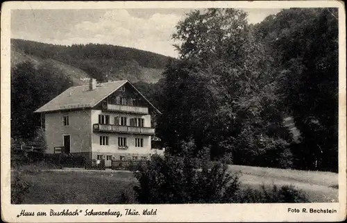 Ak Schwarzburg in Thüringen, Pension Haus am Buschbach