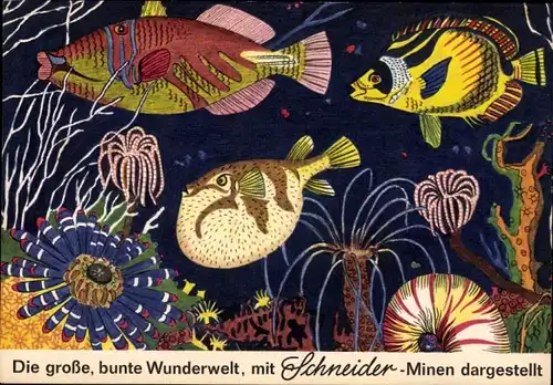 Stundenplan Schneider Minen für Kugelschreiber, Fische um 1960