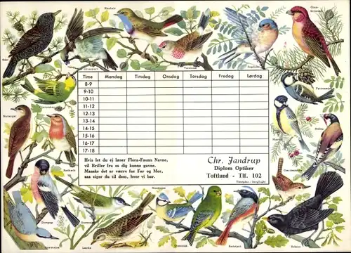 Stundenplan Optiker Chr. Jandrup, Toftlund Dänemark, Vögel Rotkehlchen, Meise um 1970