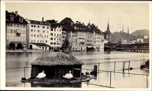 CdV Luzern Stadt Schweiz, Stadtansicht, Entenhaus