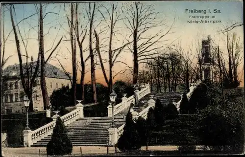 Ak Freiberg in Sachsen, Freitreppe im König Albertpark