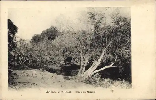 Ak Sénégal et Soudan, Bord d'un Marigot