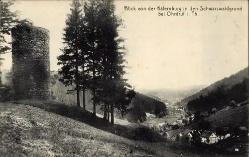 Ak Schwarzwald Ohrdruf in Thüringen, Blick von der Käfernburg in den Schwarzwaldgrund