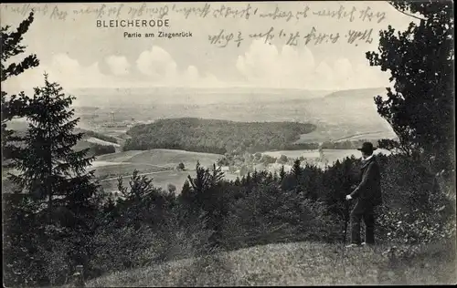Ak Bleicherode am Harz, Partie am Ziegenrück, Panorama