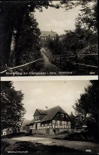 Büchenberg bei Elbingerode Oberharz am Brocken, Forsthaus, Waldwirtschaft