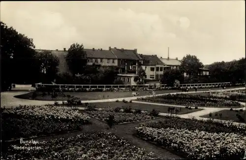 Ak Bolesławiec Bunzlau Schlesien, Rosengarten