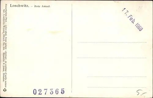 Ak Dresden Loschwitz, Rote Amsel