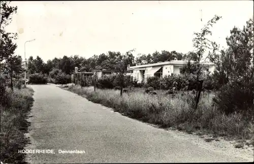 Ak Hoogerheide Nordbrabant, Dennenlaan