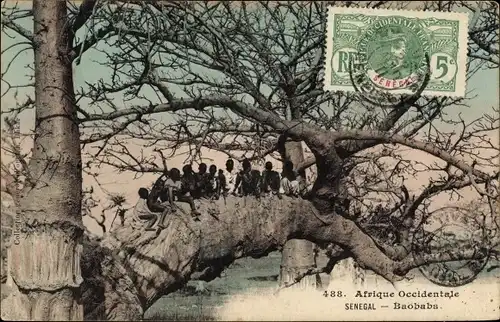 Ak Senegal, Baobabs