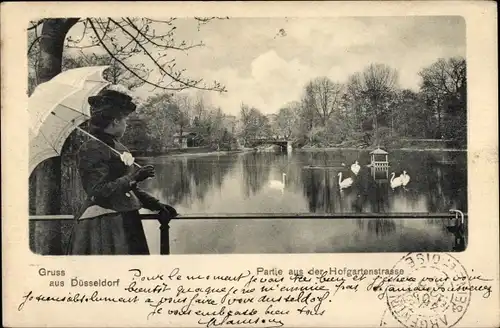 Ak Düsseldorf am Rhein, Partie aus der Hofgartenstraße, Schwäne