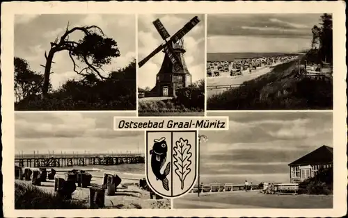 Ak Ostseebad Graal Müritz, Windmühle, Strand, Wappen, Seebrücke