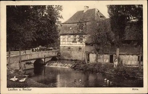 Ak Lauffen am Neckar, Partie am Fluss, Enten, Brücke, Mühle