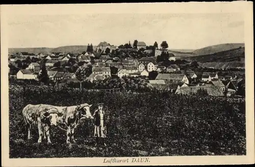 Ak Daun in der Eifel, Gesamtansicht, Rinderpflug