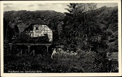 Ak Gemünd Schleiden in der Eifel, Waldhotel