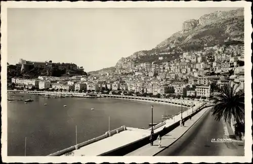 Ak Monaco, Le Palais du Prince et la Tete de Chien, La Condamine