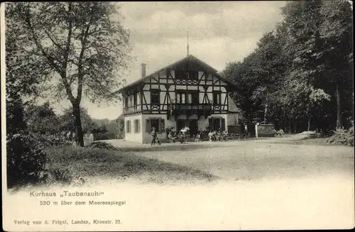 Ak Taubensuhl Landau in der Pfalz, Kurhaus, Wald, Fachwerkhaus